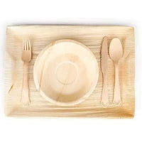 Disposable Dinnerware