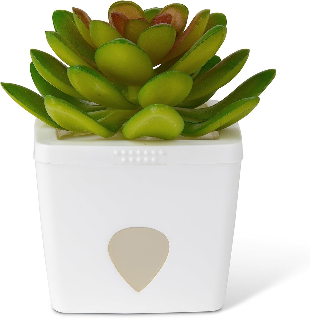JT Eaton ZendoZones Fruit Fly Trap - Serene Sandy