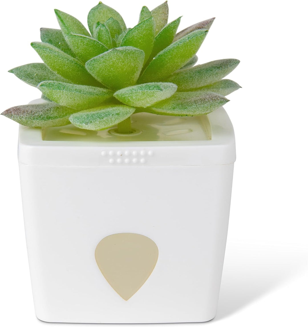 JT Eaton ZendoZones Fruit Fly Trap Tranquil Tabitha