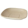 World Centric BQ-SC-24-LFS Compostable Plant Fiber 24 oz Food Container 8.4" Square