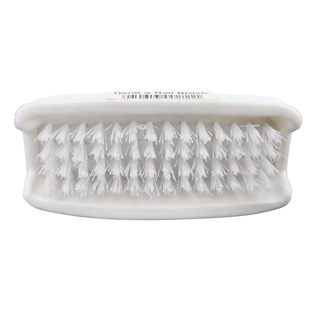 Dual Sided White Hand and Nail Brush 211-144