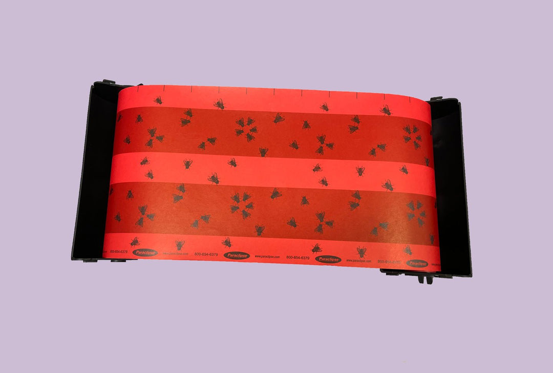 Paraclipse 72319 Fruit Fly Patrol Replacement Cartridge