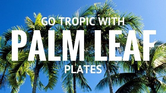 Go Tropic With Palm Leaf Plates - ShopAtDean