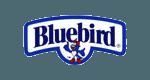 Bluebird - ShopAtDean