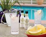Fee Brothers 5 oz Grapefruit Cocktail Bitters