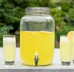 Dominade 21.6 oz Powdered Lemonade Drink Mix