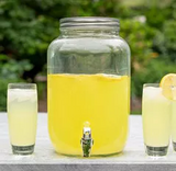 Dominade 21.6 oz Powdered Lemonade Drink Mix