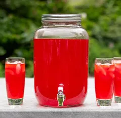 Dominade 21.6 oz Powdered Fruit Punch Drink Mix