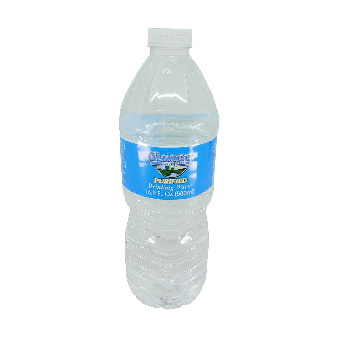 16.9 OZ Bottled Water 24/Case