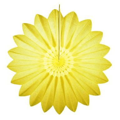 27" Light Yellow Tissue Paper FanShopAtDean