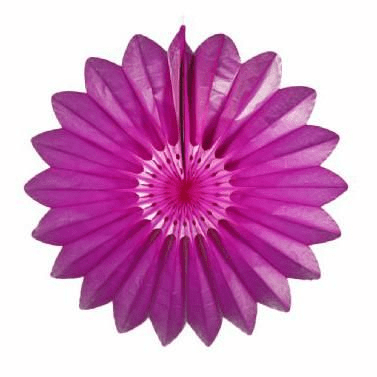 27" Magenta Tissue Paper FanShopAtDean