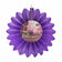 Beistle 27" Purple Bewitched Tissue Fan