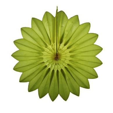 27" Sage Green Tissue Paper FanShopAtDean