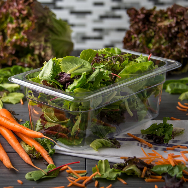 Carlisle StorPlus 3068107 StorPlus 1/4 Size 4" Deep Clear Polycarbonate Food Pan Carlisle