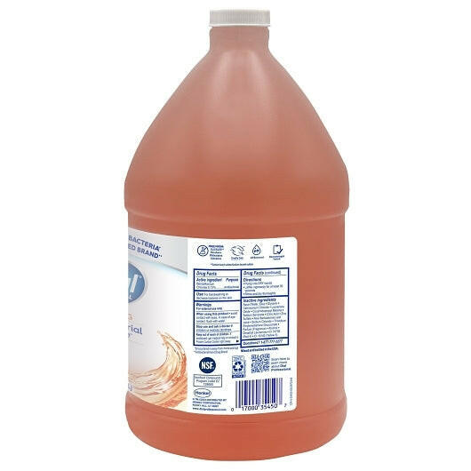 Dial Defense Original Antibacterial Foaming Hand Wash with Aloe Gallon Refill Dial