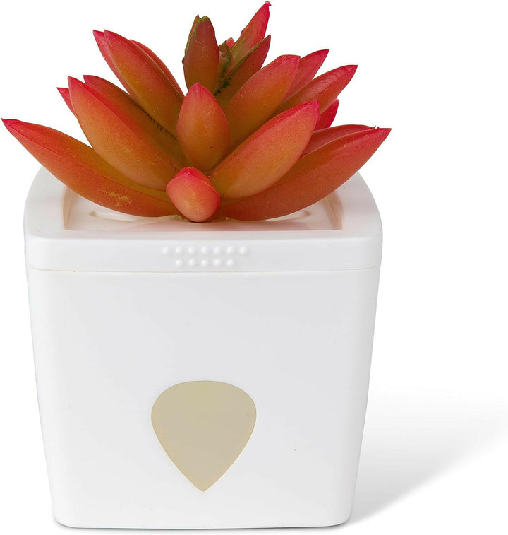 JT Eaton ZendoZones Fruit Fly Trap - Assorted JT Eaton
