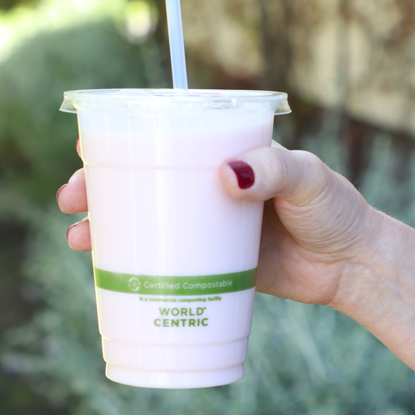 World Centric CP-CS-16 16 oz Clear Compostable Cold Cups World Centric