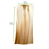 PacknWood 210APLEAF 22" Palm Leaf