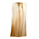 PacknWood 210APLEAF 22" Palm Leaf