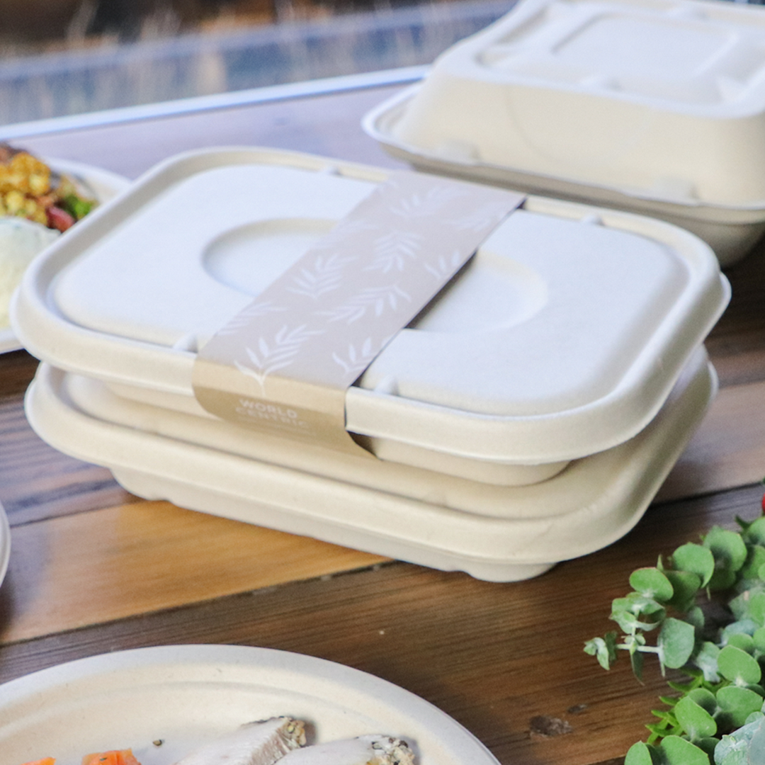World Centric TR-SC-U10-LFS Compostable Plant Fiber 36 oz Food Container 10" x 7.5" x 1.5"