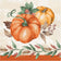 Creative Converting 376029 13" X 13" Harvest Delight Lunch Napkins