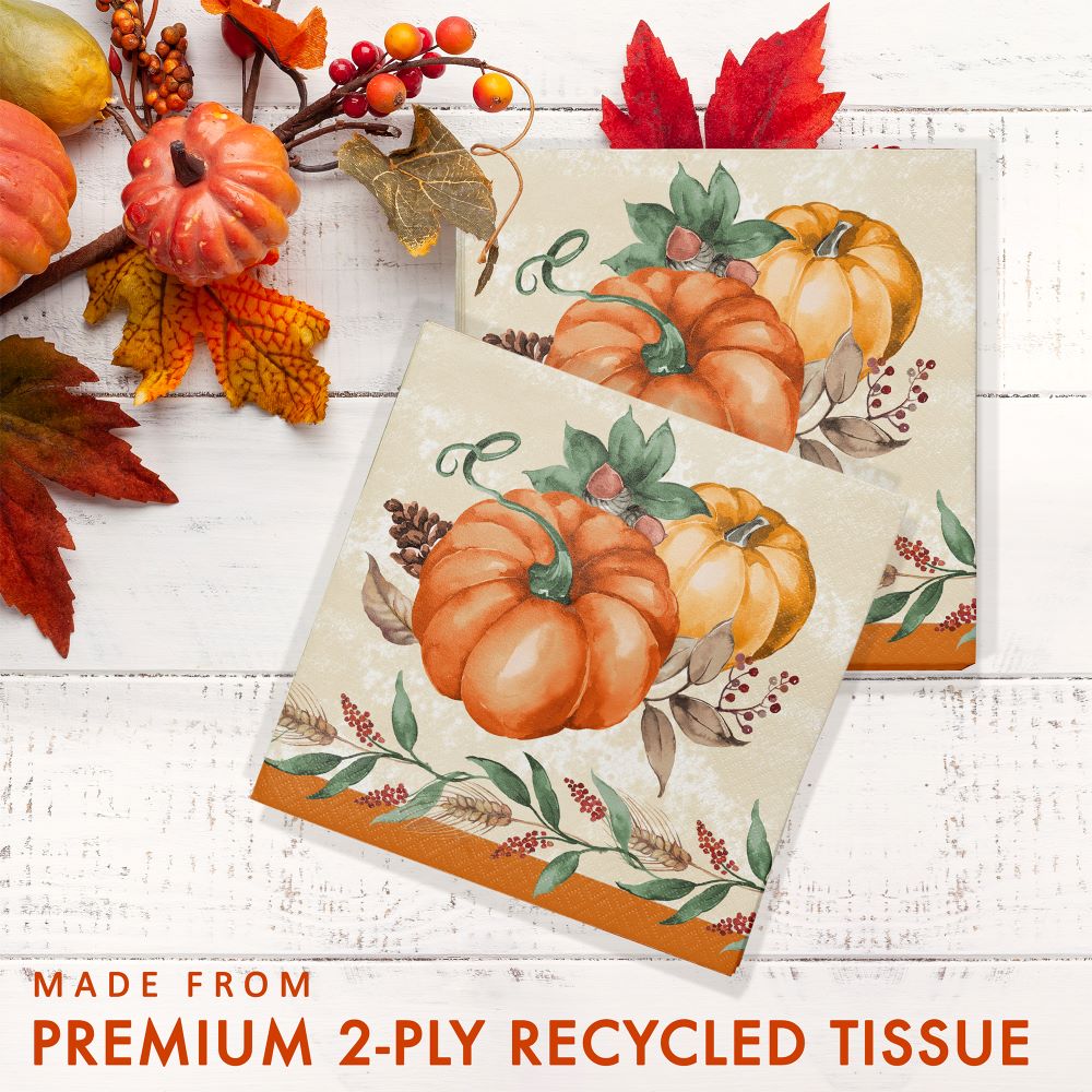 Creative Converting 376029 13" X 13" Harvest Delight Lunch Napkins