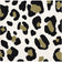 Creative Converting 354594 10" X 10" Black with Gold Leopard Beverage Napkins