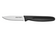 Dexter P40003 BASICS 2.75" Clip Point Paring Knife