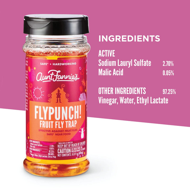Aunt Fannie's FlyPunch Fruit Fly Trap