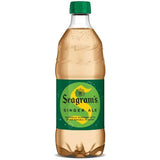 Coca-Cola Ginger Ale 20 oz Bottles Foodservice Bulk Case