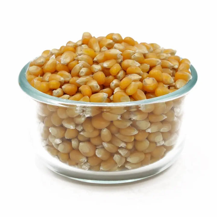 Yellow Hybrid Popcorn 50# CJ Dannemiller