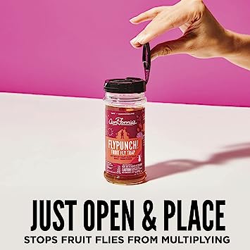 Aunt Fannie's FlyPunch Fruit Fly Trap Aunt Fannie's