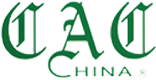 City Arts China