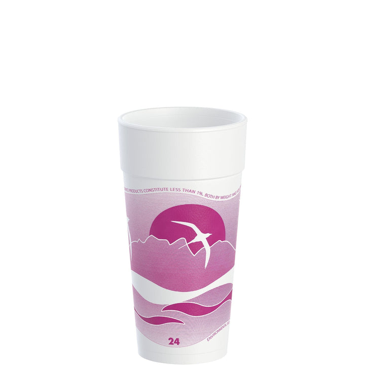 Dart 24J16H 24 Oz Horizon Print Hot/Cold Foam Cup Dart