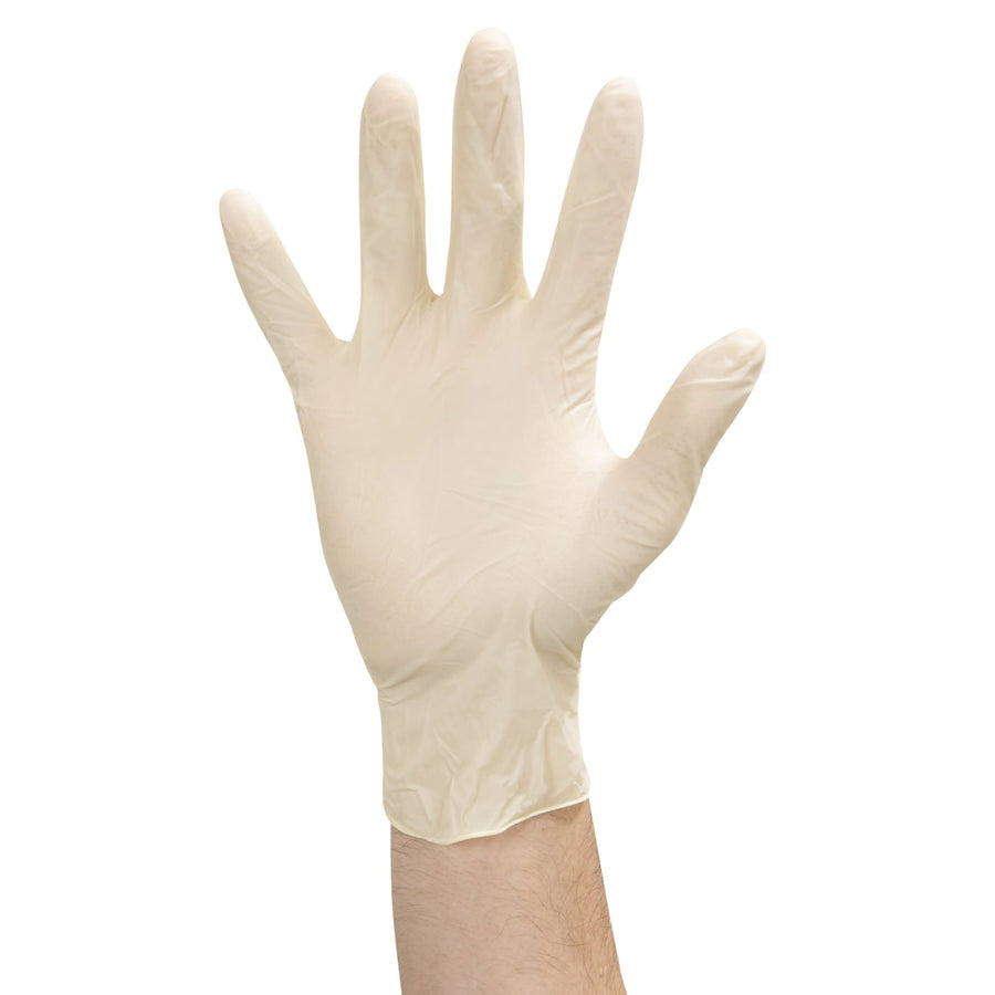 Food Handler 100-206 Large Lightly Powdered Latex GlovesShopAtDean