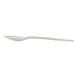 Greenwave SPOON-WHITE White Compostable Teaspoons