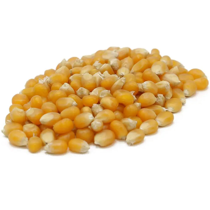 Yellow Hybrid Popcorn 50# CJ Dannemiller
