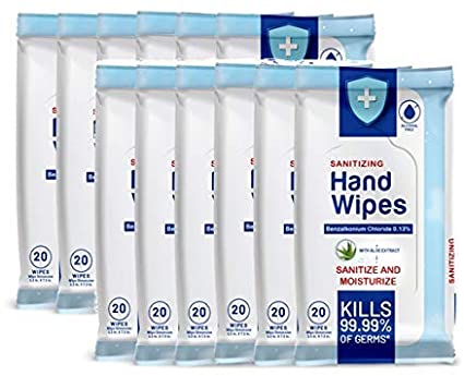 Sanitizing and Moisturizing Hand Wipes ShopAtDean
