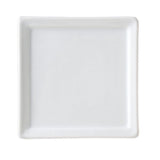 Vertex AV-S4 4" Square Insert Plate 12/Case