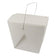 White 16 oz Food Pail with Wire Handle